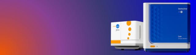 Welcome to the Revolution