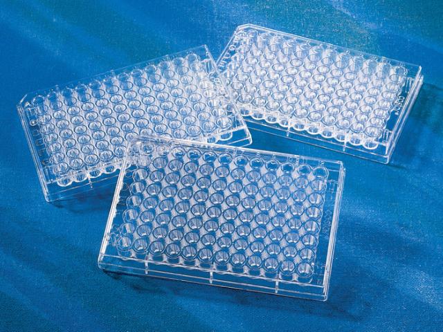 Corning Cellbind 96 Well Clear Flat Bo