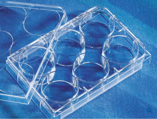 Corning Cellbind 6 Well Clear Micropla