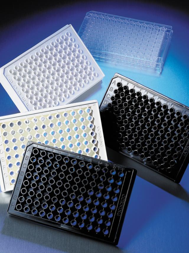 Corning Cellbind 96 Well Flat Clear Bo
