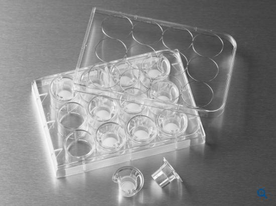 Corning 12Mm Transwell With 0.4µm Pore