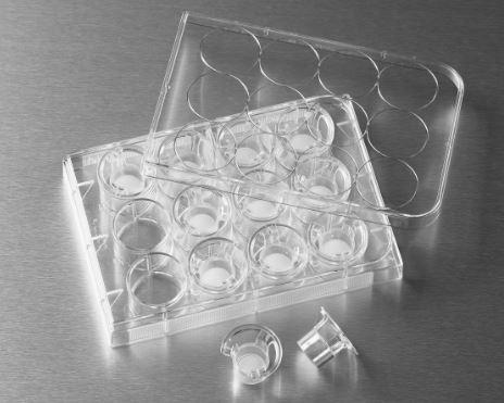 Corning 12Mm Transwell With 3.0µm Pore