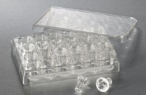 Corning 6.5Mm Transwell With 0.4µm Por