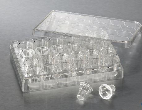 Corning 6.5Mm Transwell With 8.0µm Por