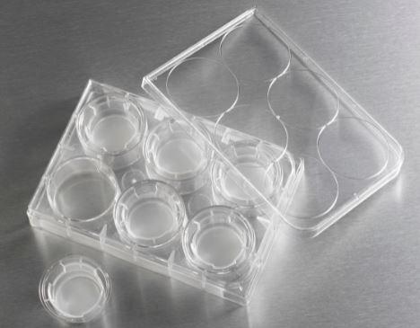 Corning 24Mm Transwell With 0.4µm Pore