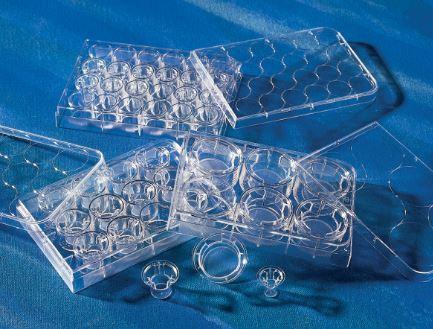 Corning 12Mm Transwell With 0.4µm Pore