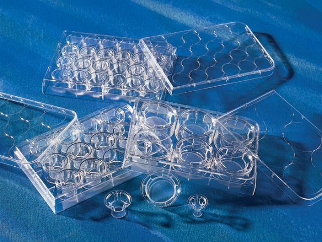 Corning 12Mm Transwell With 3.0µm Pore