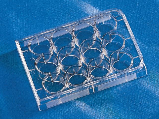 Corning Costar 12 Well Clear Cell Cult
