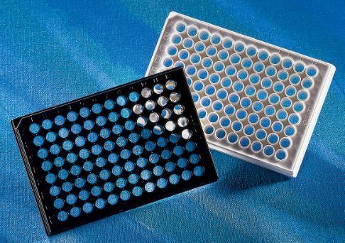 Corning 96 Well Flat Clear Bottom Black