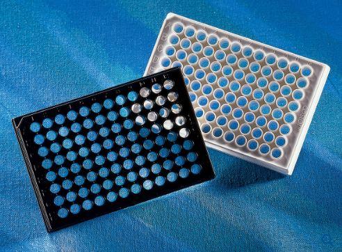 Corning 96 Well Flat Clear Bottom White