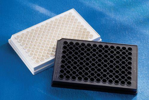 Corning PLATE,96WL,WHITE,RB,NT,WO/LID,C/