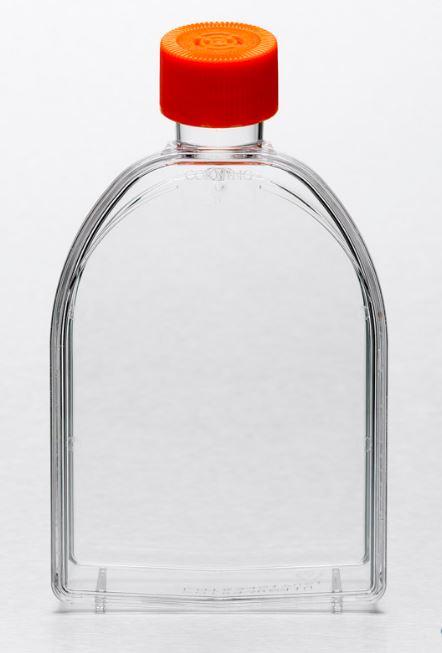 Corning Flask, 75cm2, Canted Neck, Vent
