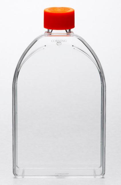 Corning Flask, 150cm2, Canted Neck, Ven