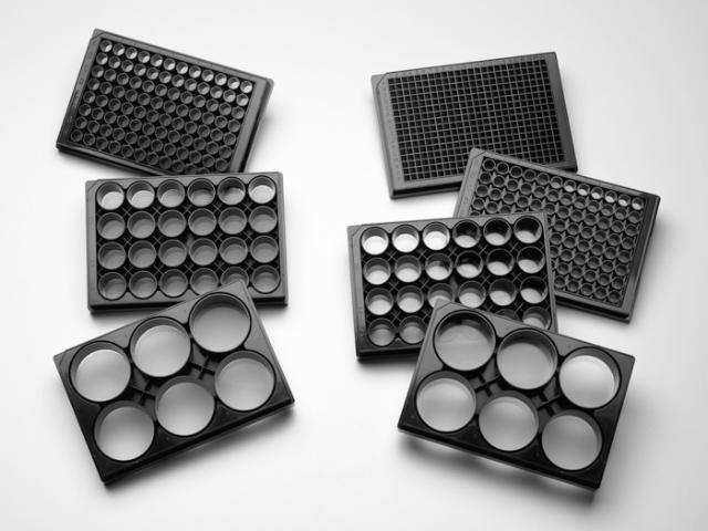 Corning Elplasia 24-well round bottom plates with lid Ultra-