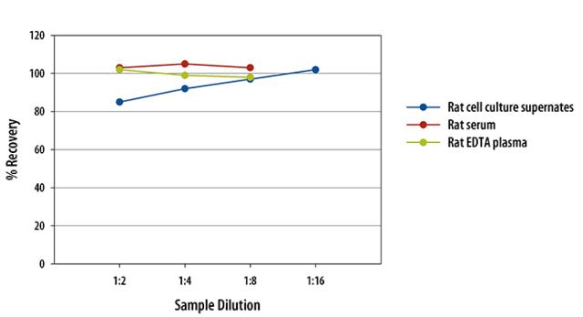 R&D Systems Mouse/Rat Leptin Quantikine ELISA Kit, 1 per kit