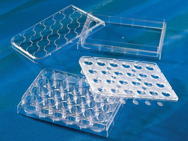 Corning Hts Transwell-24 Well Permeabl