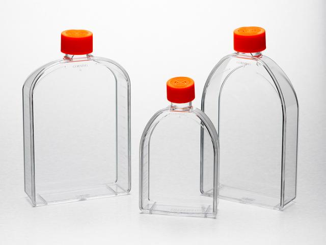 Corning Flask, 175cm2, Angled Neck, Plu