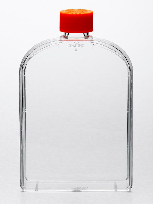 Corning Flask, 175cm2, Angled Neck, Ven