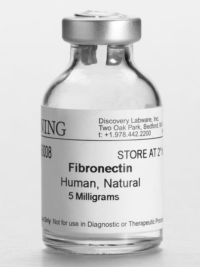Falcon Fibronectin, Human, 1 mg, 1/Pack,